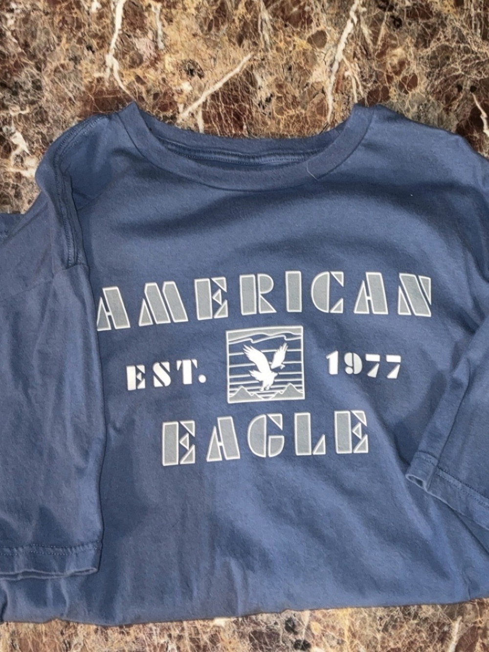American Eagle Outfitters Navy Blue Graphic Short-Sleeve Tee